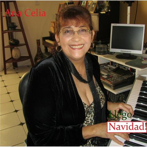 Llego Navidad!