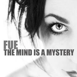 The Mind Is a Mystery