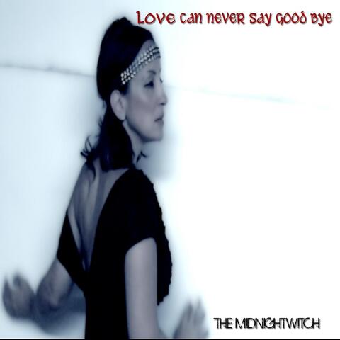 Love Can Never Say Good Bye (feat. Twinsoulconga)