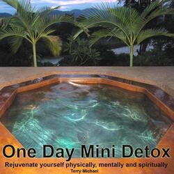 One Day Mini Detox: Rejuvenate Yourself Physically, Mentally and Spiritually
