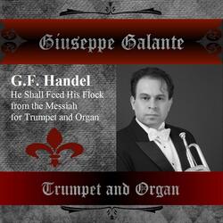 G. F. Handel: Messiah in G Major for Trumpet and Organ, HWV 56: He Shall Feed His Flock