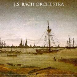 Concerto in E Major for Violin, Strings and Continuo, Op. 8, No. 1, RV 269, "La Primavera" (Spring): I. Allegro non molto