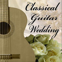 Solo Guitar Etudes, Op. 2: No. 9, Italian Wedding Habanera