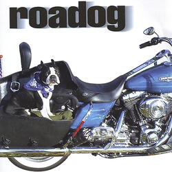 Road Dog