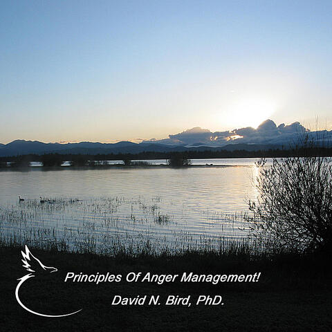 David N. Bird, Phd.