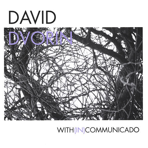 David Dvorin