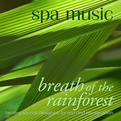 Spa Music: Breath of the Rainforest