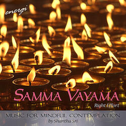 Samma Vayama: Session Two