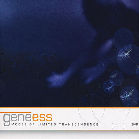 Modes of Limited Transcendence
