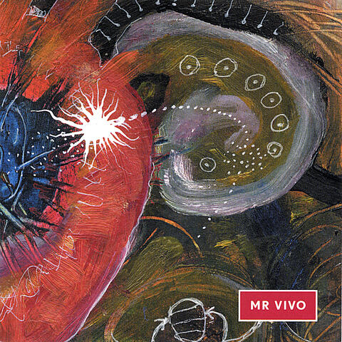Mr Vivo