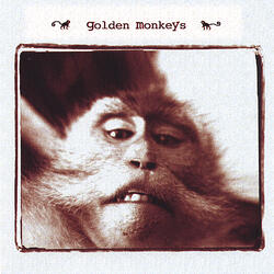 Golden Monkey