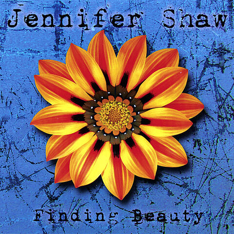 Finding Beauty