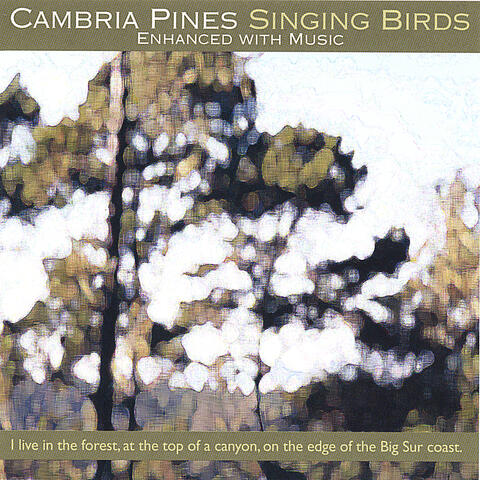 Cambria Pines Singing Birds