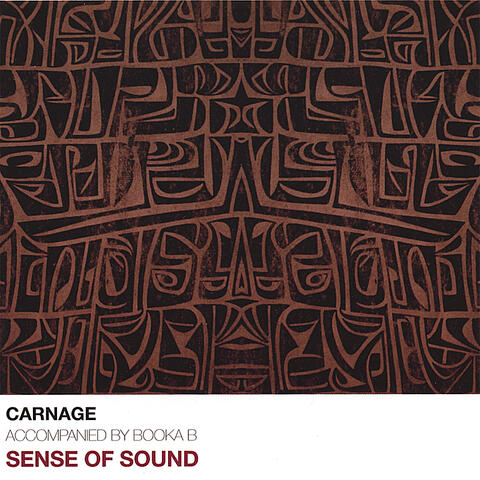 Sense Of Sound