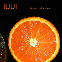 El éxtasis del órgano