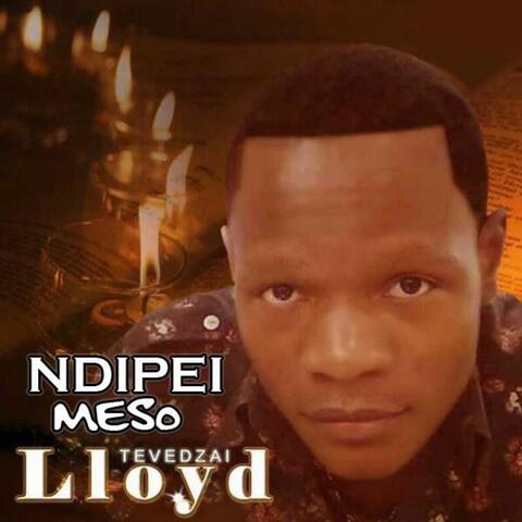 Ndipei Meso