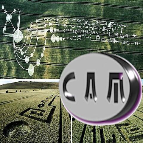 Cam