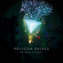 We Have a Visual (Pulsar Remix)