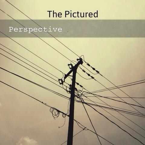 Perspective - Single