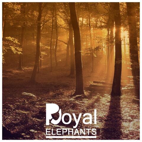 Royal Elephants