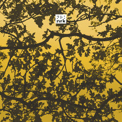 Community (Peace Division Remix)