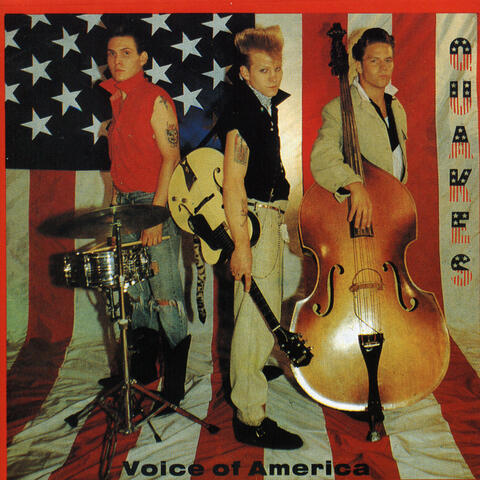 Voice of America