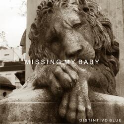 Missing My Baby (Bottle Neck Blues)