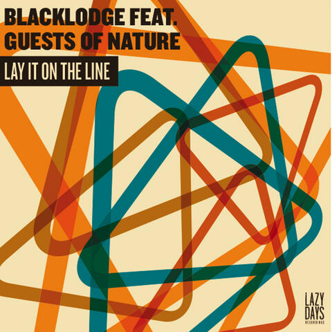 Lay It On The Line