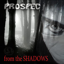From The Shadows