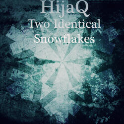 Two Identical Snowflakes
