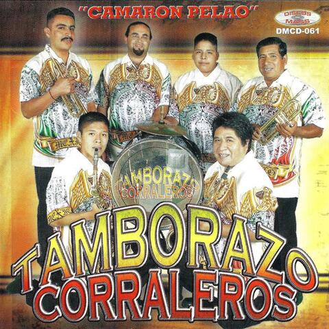 Camaron Pelao