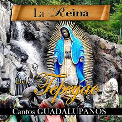 La Guadalupana