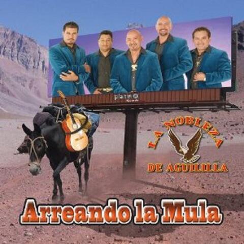 Arreando La Mula