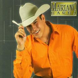 Vuelve Mi Amor