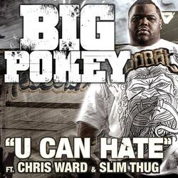 U Can Hate (feat. Chris Ward & Slim Thug)