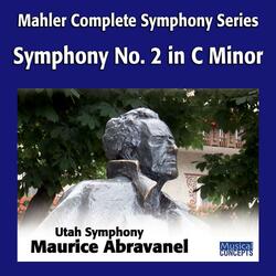 Symphony No. 2 in C Minor: Allegro maestoso (No. 20)