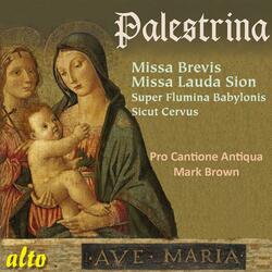 Missa Lauda Sion: Introitus: Cibavit eos