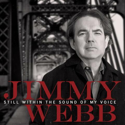 Still Within The Sound Of My Voice