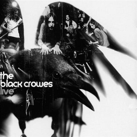 The Black Crowes: Live
