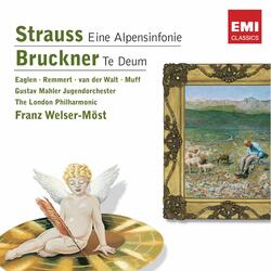 Strauss: Eine Alpensinfonie, Op. 64, TrV 233: Sonnenuntergang (Etwas breiter)