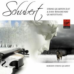 Schubert: String Quartet No. 10 in E-Flat Major, Op. Posth. 125 No. 1, D. 87: IV. Allegro