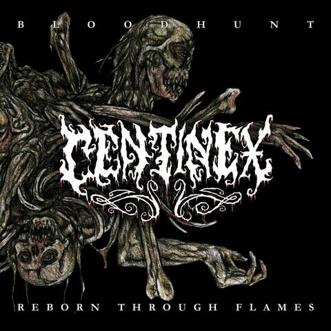Bloodhunt/Reborn Through Flames