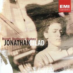 Brahms: Variations on a Theme by Handel, Op. 24: Variation XI. Dolce