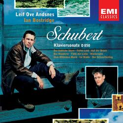 Schubert: Der Wanderer, Op. 65 No. 2, D. 649
