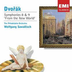 Symphony No. 9 in E minor, 'From the New World' B178 (Op. 95): II.   Largo