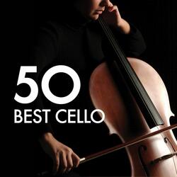 Cello Concerto in B Minor, RV 424: I. Allegro non molto