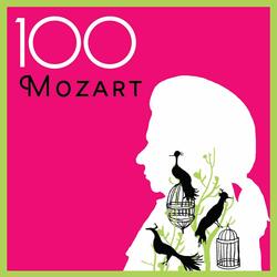 Violin Sonata in E minor, K.304/300c: I. Allegro