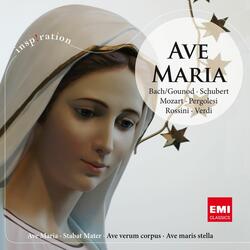 Motet: Ave Maria (1991 - Remaster)