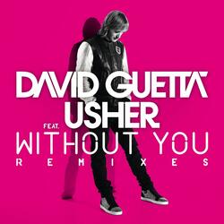 Without You (feat. Usher)
