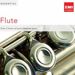 Flute Sonata No. 2 in D Major, Op. 94: IV. Allegro con brio